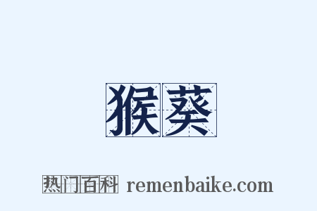 猴葵是什么意思的图片